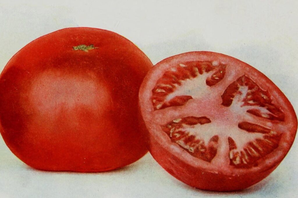 Mina Stone, I can’t live without, artist, food