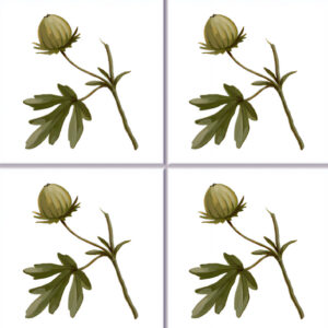 Hibiscus bloom wall tile