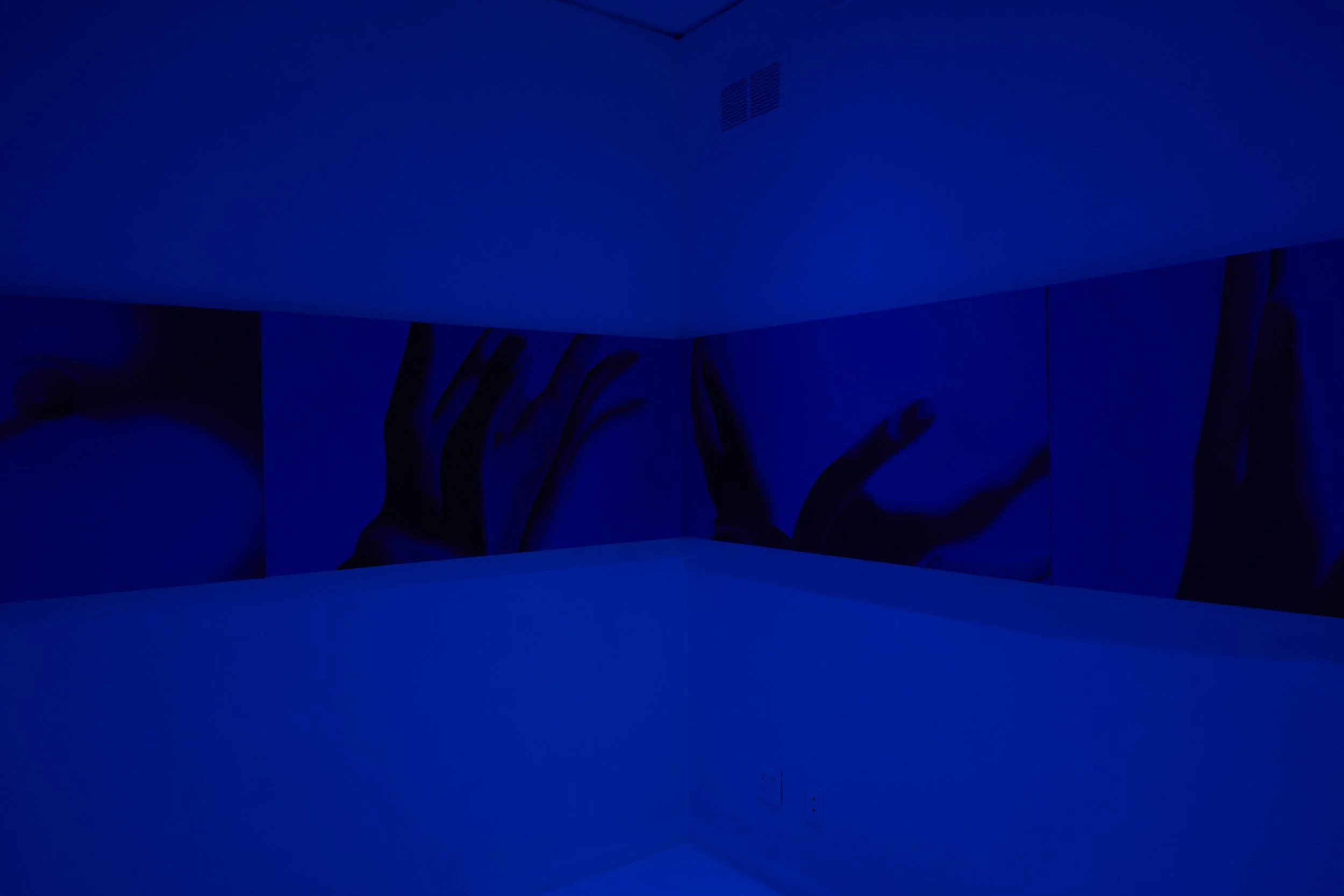 Artist Adelisa Selimbašić’s immersive <em>Where we become each other</em> (2026) exhibit at Lubov.